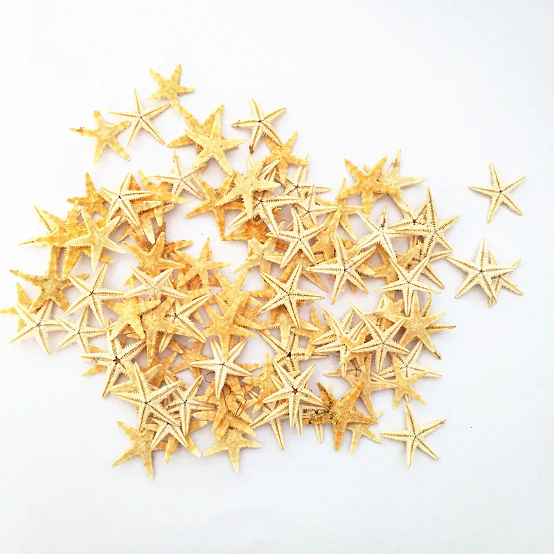 HappyKiss Natural starfish sea conch shells100pcs/lot star Ornament Accessories wedding decoration special price | Дом и сад