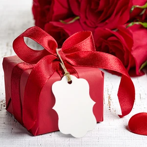 300 шт. крафт бумага пустые подарочные ярлыки на Рождество свадебные вечерние