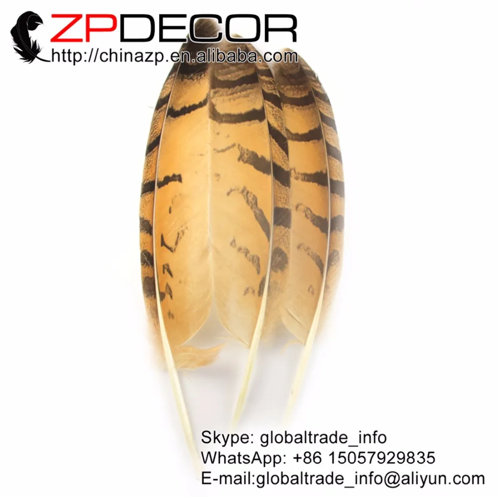 ZPDECOR 30 35( 12 14 дюймов) 50 шт./лот настоящие красивые перья с изображением совы и орла