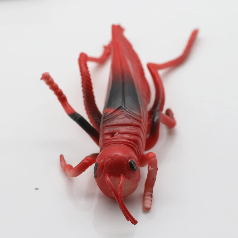 Poetryyi Saltamontes moscas de pesca a mosca coscas cebos carpa trucha volar atar material con mosca30|Наживки для рыбной ловли|