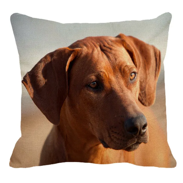 XUNYU Rhodesian Ridgeback наволочки с изображением собак для домашнего дивана квадратная наволочка для подушки с животным узором декоративная наволочка для подушки 45X45 см AC018 - Цвет: 15