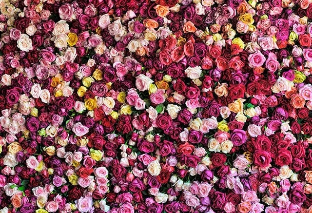 

Vinyl Colorful Flowers Photography Backdrops Photo Backgrounds Baby Newborn Child Wedding studio props backdrop LV-137