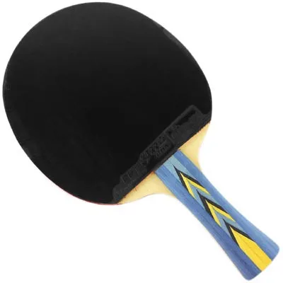 DHS 3002 пипс-в длинной шахматной руке FL ракетка для настольного тенниса pingpong с длинной ручкой FL