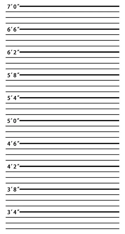 Mugshot Police Lineup Photo Background Backdrop Quality Vinyl Baby Newborn Child | Электроника