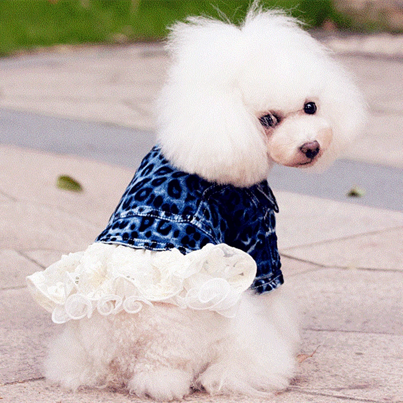 Одежда для собак Джинсовая юбка с кружевным леопардовым принтом платье питомцев