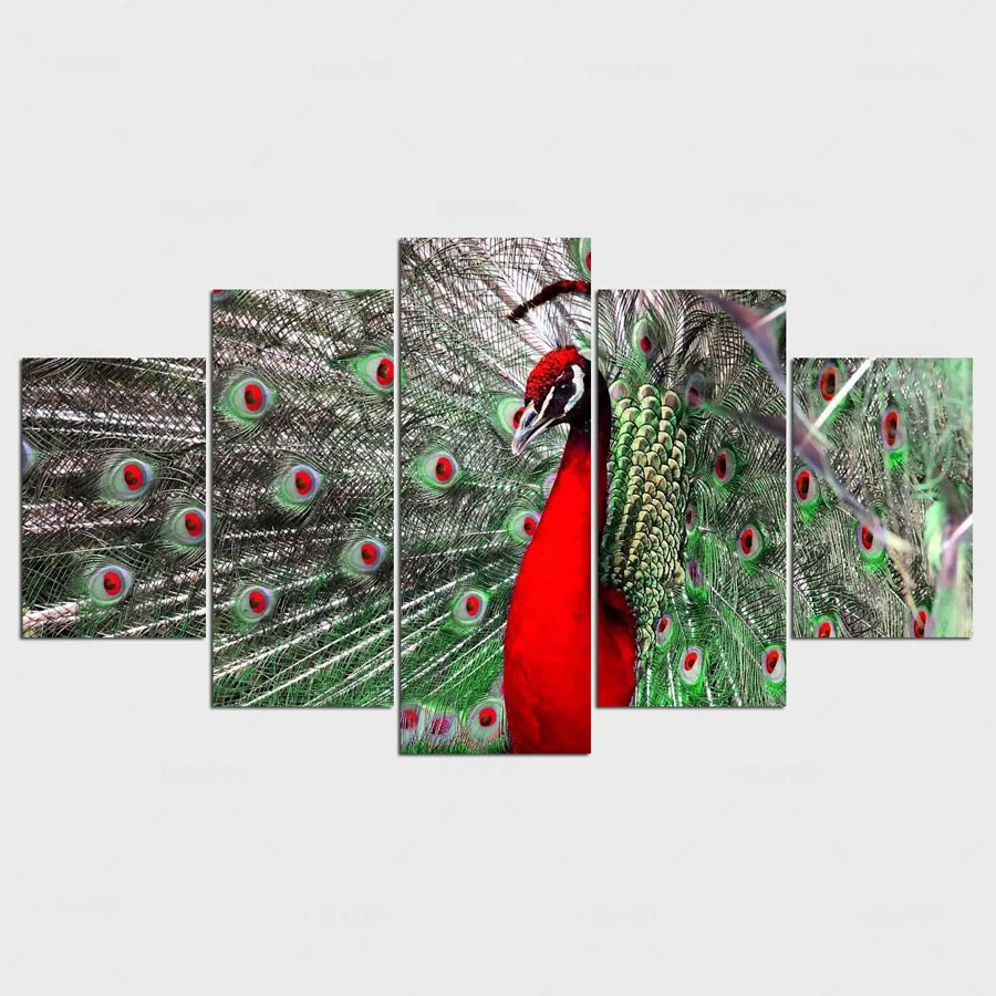 

5 Panels Red Peacock Canvas Print Painting Modern Canvas Wall Art for Wall Pcture Home Decor Artwork Animal Pictures IM-131