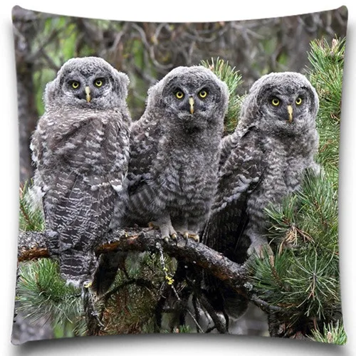 Чехол Подушка квадратная из хлопка с рисунком животных и совы|cushion cover|pillow case