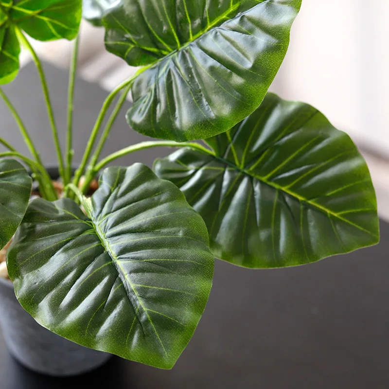 Моделирование карликовые деревья зеленый редис/Черепаха лист/арбузный лист