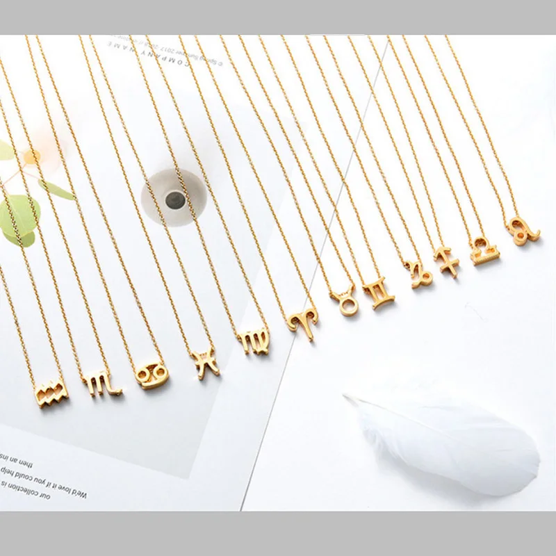 

Fashion Gemini Pendant Necklace For Women Make a Wish Card 12 Constellation Necklace Birthday Gift Jewelry