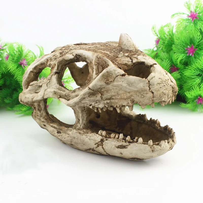 Смола рогатый окаменелось со скелетом диназавра аквариум орнамент украшения