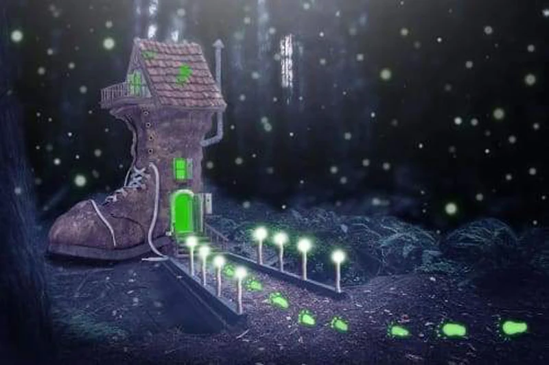 GLymg Сделай Сам Вышивка живопись 5D алмазные Стразы горный хрусталь обувь дом