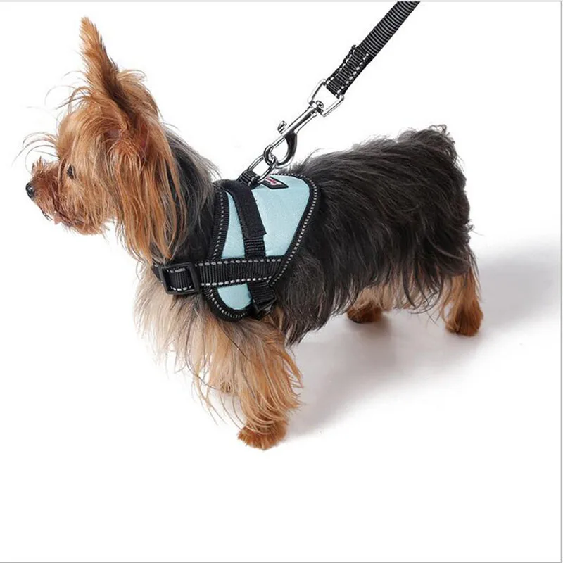 Новые Нейлоновые Собачьи Ошейники со светоотражающими кошка поводок для собак