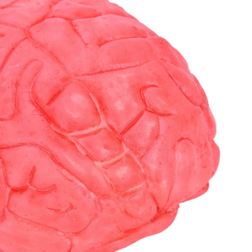 1x искусственный человеческий реквизит резиновая подделка ужаса страшный мозг