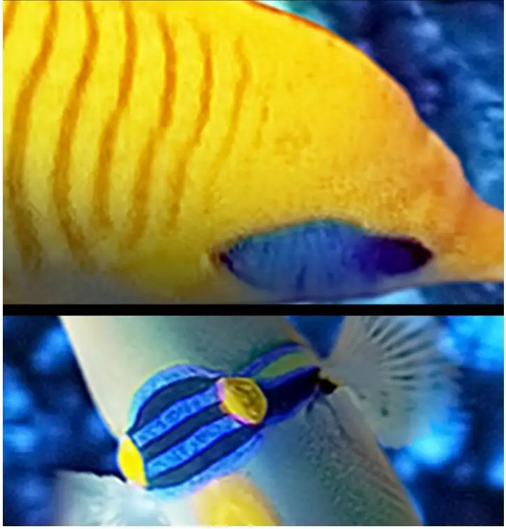 3 d ПВХ напольные пользовательские фото обои настенные стикеры морские темно