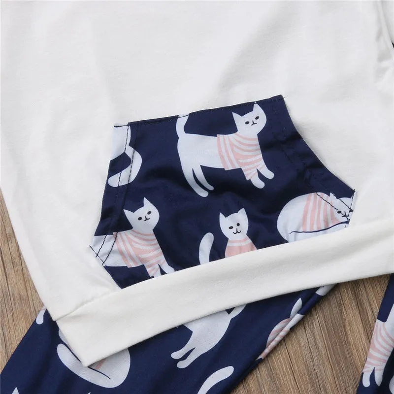 Комплект одежды из 2 предметов с капюшоном для маленьких девочек осенний свитер и