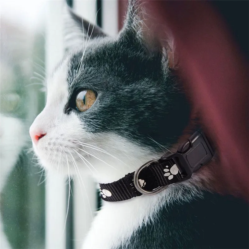 Cat от вшей Pet Воротник избавиться блох кроме Блошиный воротник для Товары кошек и