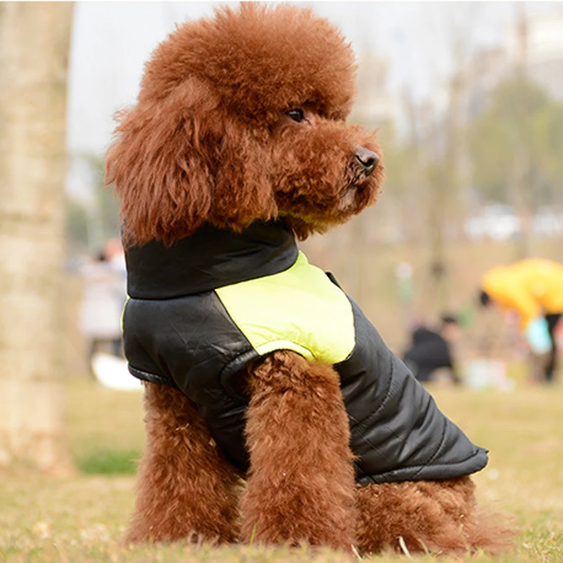 Зимние теплые товары для домашних животных водонепроницаемое пальто на молнии
