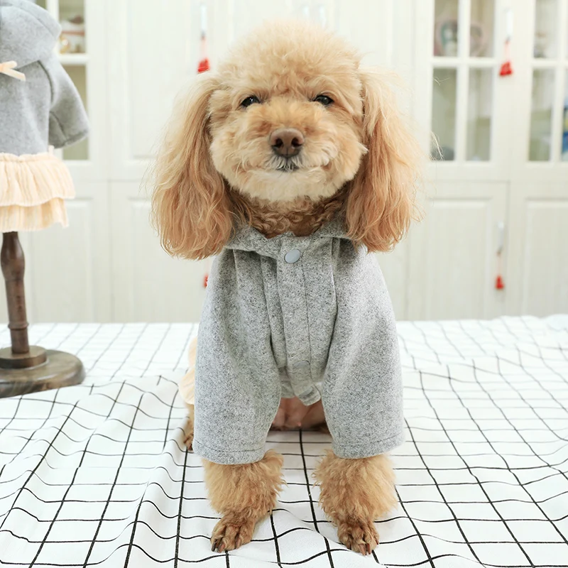 PETCIRCLE шерстяное платье для собак Одежда щенков на весну и лето плюшевый Пудель