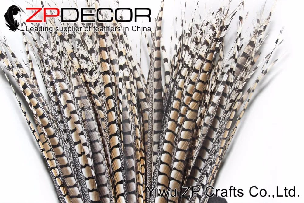 Zpdecor 32-36 дюймов(80-90 см) 50 шт./лот высокое качество натуральный длинный Алмазный фазан перья из хвоста фазана для карнавала шоу EMS бесплатно