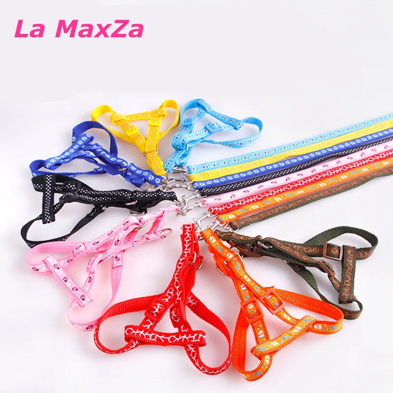 

New Adjustable Small Pet Dog Leash Harness Sets Nylon Harness For Dog Walking Leads Clollar Leads Pets Supplier Free Shipping