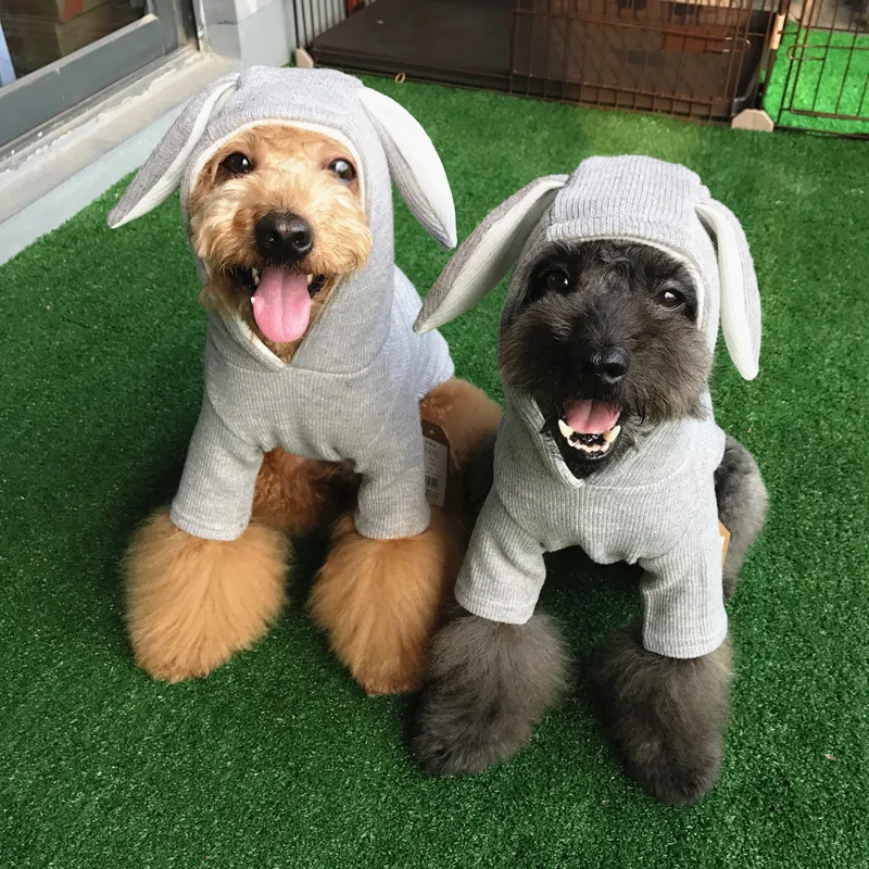 Bigeyedog собачья толстовка с капюшоном Пальто Толстовка Осень Зима Одежда для собак mascotas ropa perro костюм для домашних животных французская одежда для французского бульдога