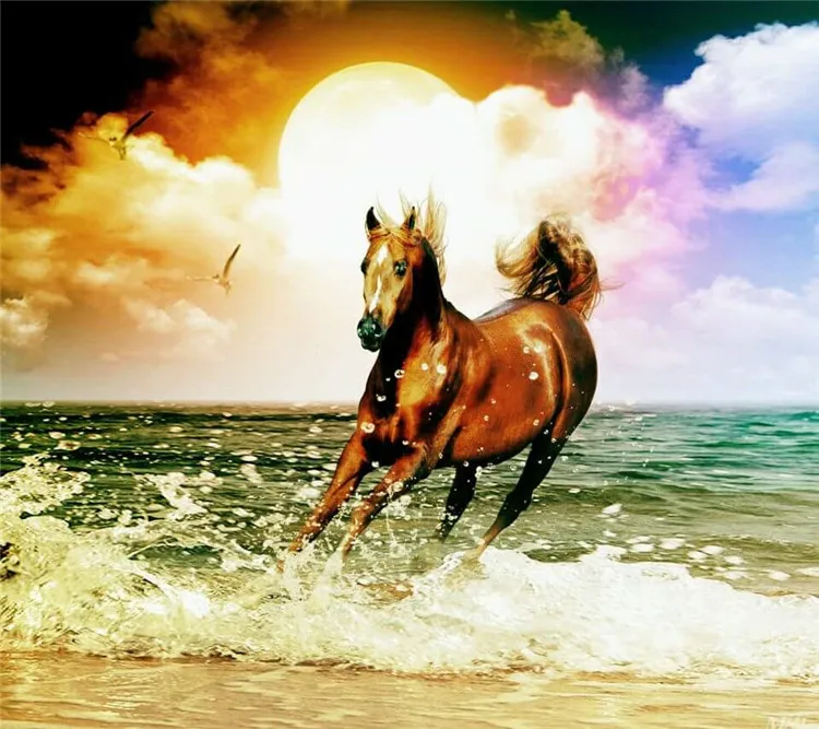 Волны в бегущей лошади 5D Горный хрусталь живопись кристалл дома круглый DIY