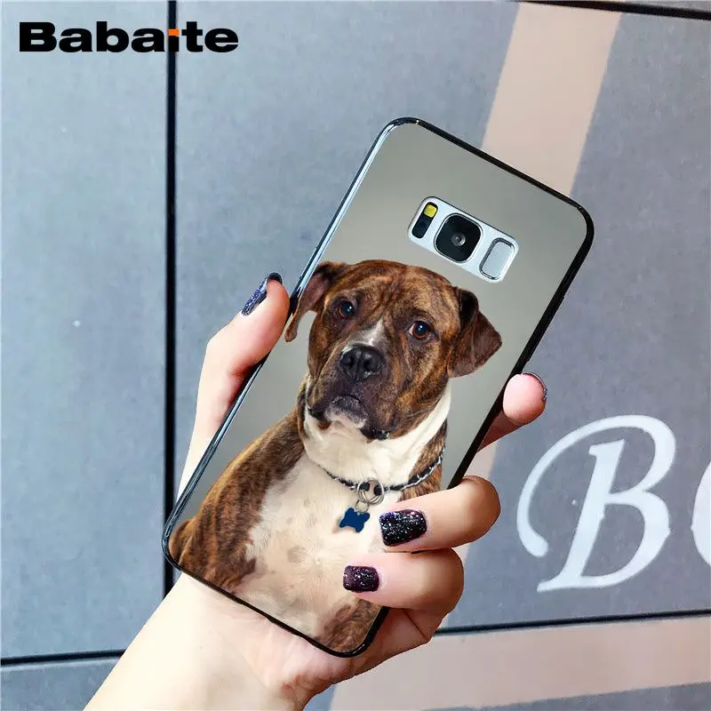Babaite питбуль прекрасный питбуль чехол для телефона для samsung Galaxy S8 S7 edge S10 Plus S10E S10lite S9 Plus S5 M10 20