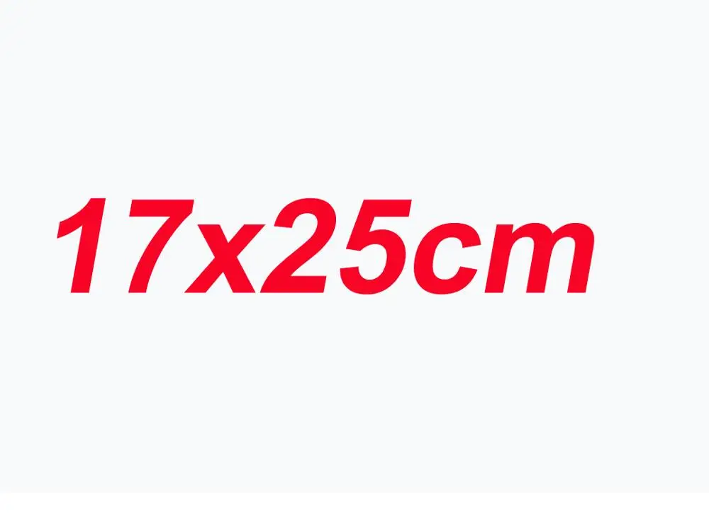 100 шт., 24x35 см, матовые полиэтиленовые пакеты на молнии для одежды, футболки, юбки, розничная упаковка, печать логотипа на заказ - Цвет: 17x25cm