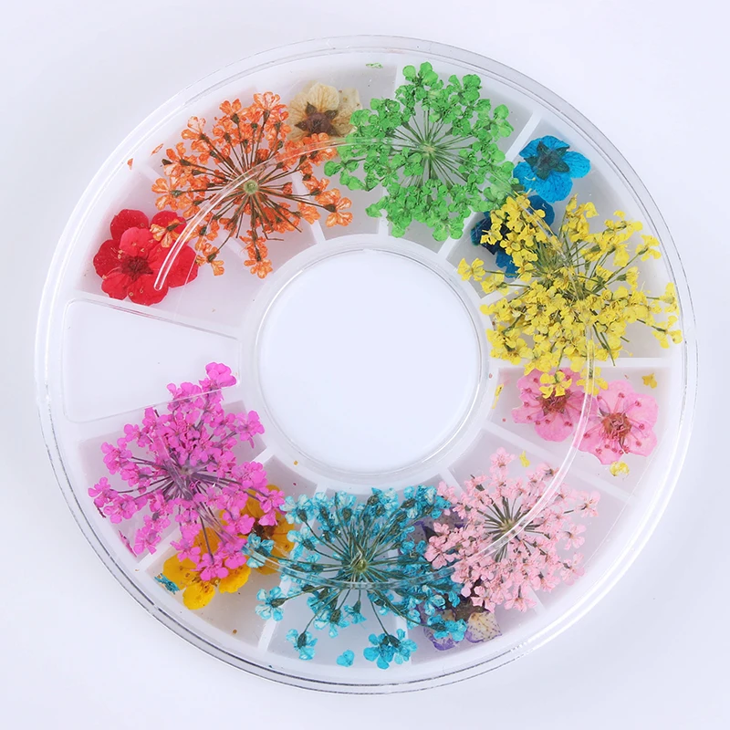 1 коробка высушенный цветок для ногтей художественное украшение Смешанные