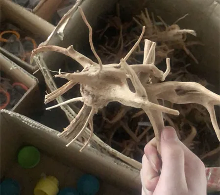 Натуральное дерево ствол driftwwood аквариум рептилия цилиндр изготовления корней растение дерево украшения орнамент(размер L