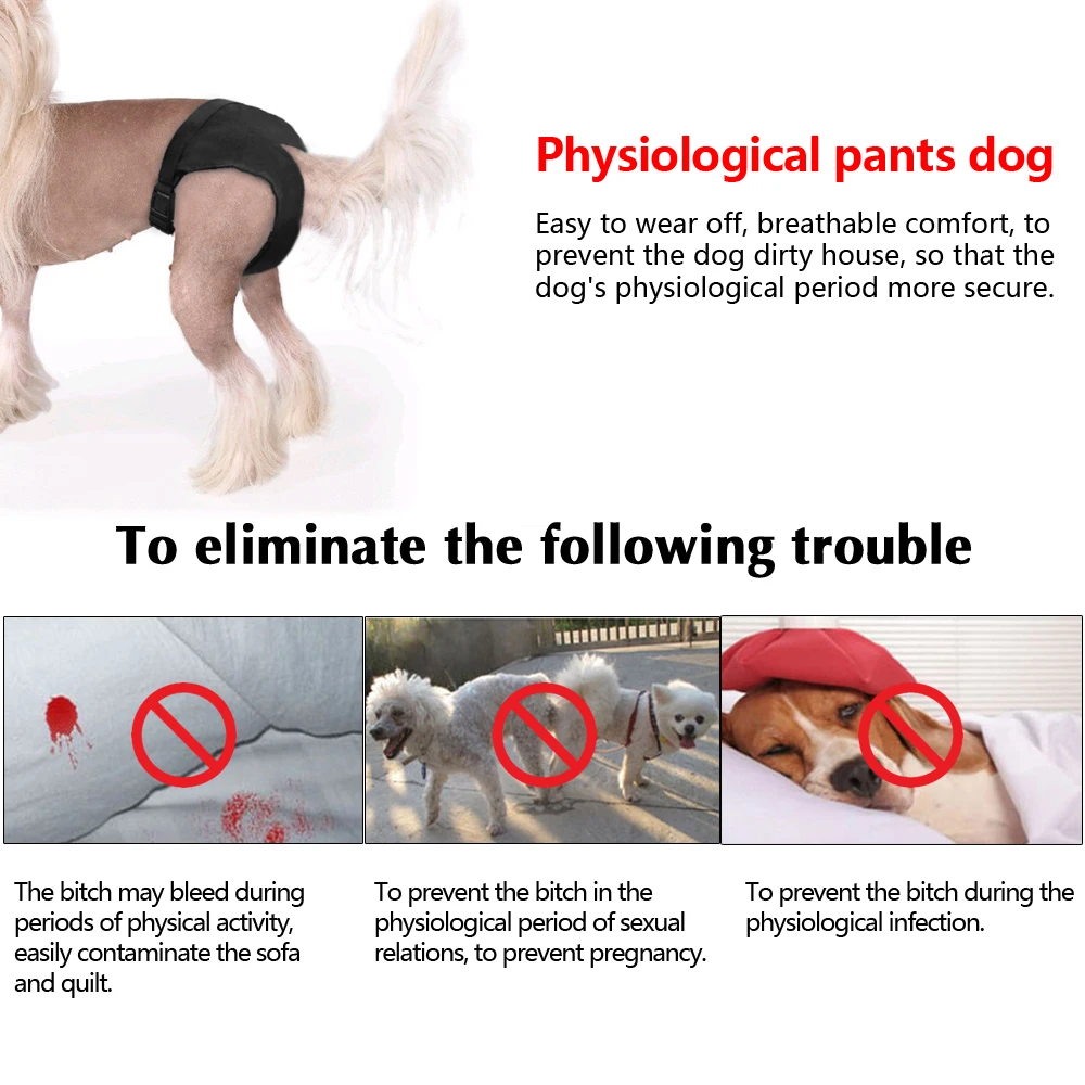 Didog женские подгузники для собак штаны щенков физиологические моющееся нижнее