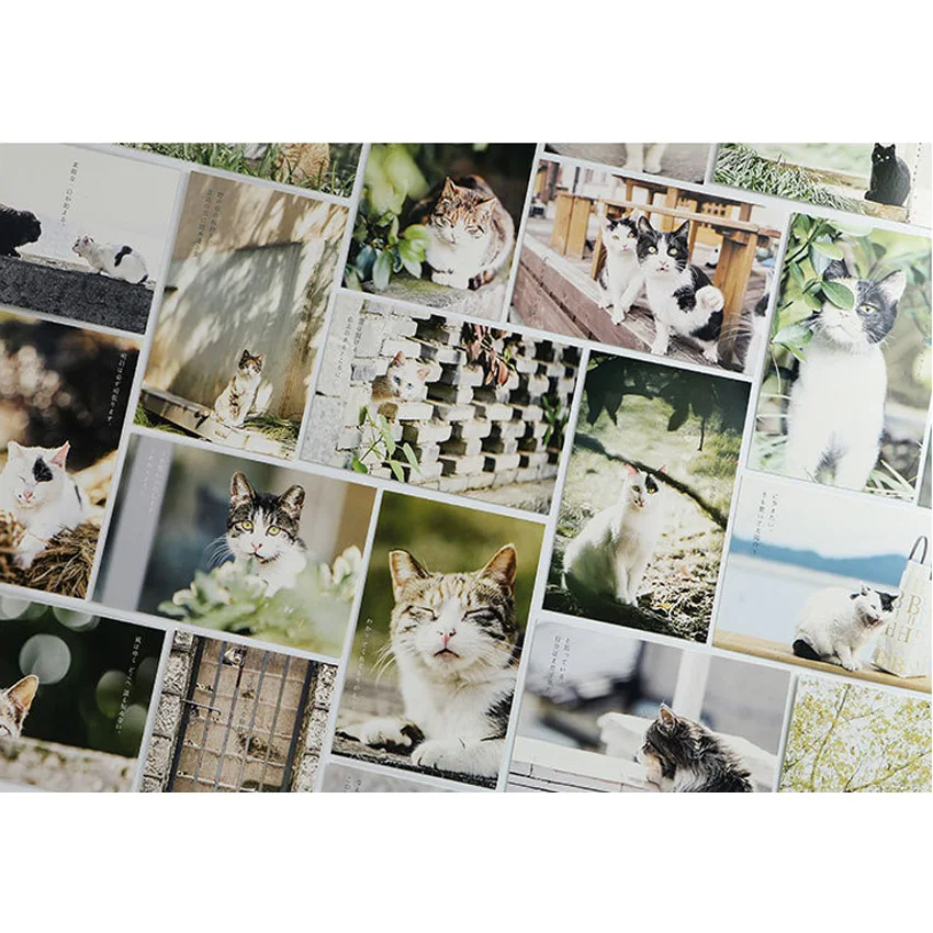 30 шт./лот Kawaii кошка лес открытка конверт для поздравительной открытки подарок открытка на день рождения DIY подарки