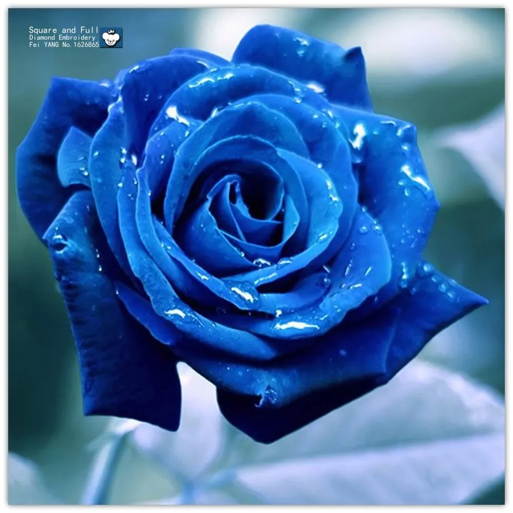 Картина из страз синий цветок 5D Вышивка крестиком бусина значок вышивки Алмазная