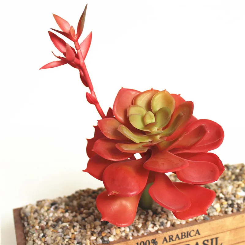 Искусственные суккуленты Искусственный цветок лотоса литопс ПВХ Высокое
