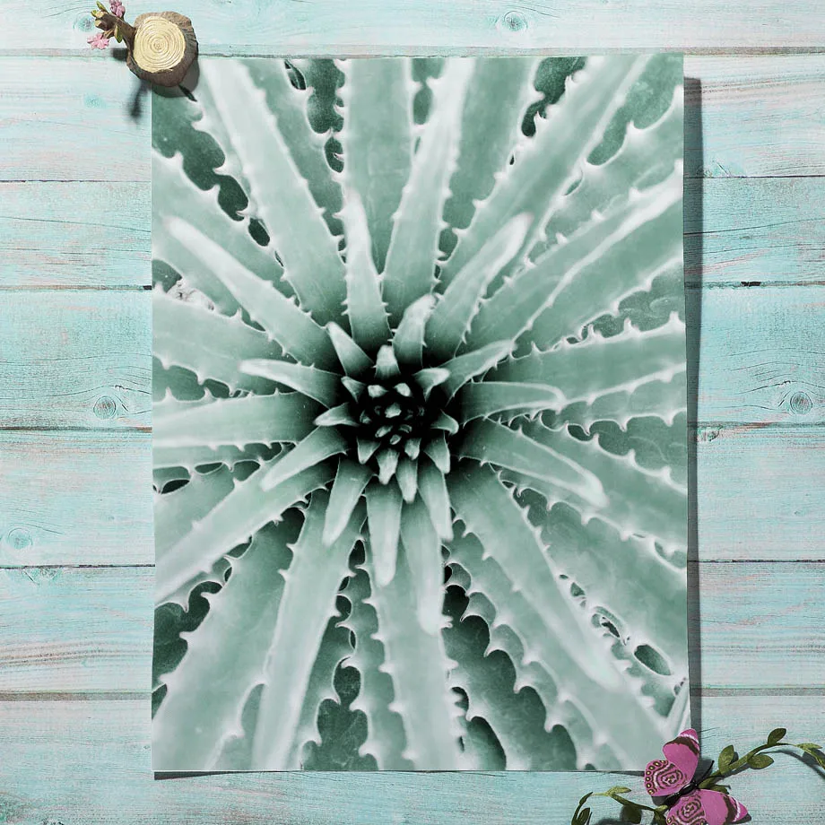 Кактус Agave зеленые листья настенная живопись на холсте тропические растения