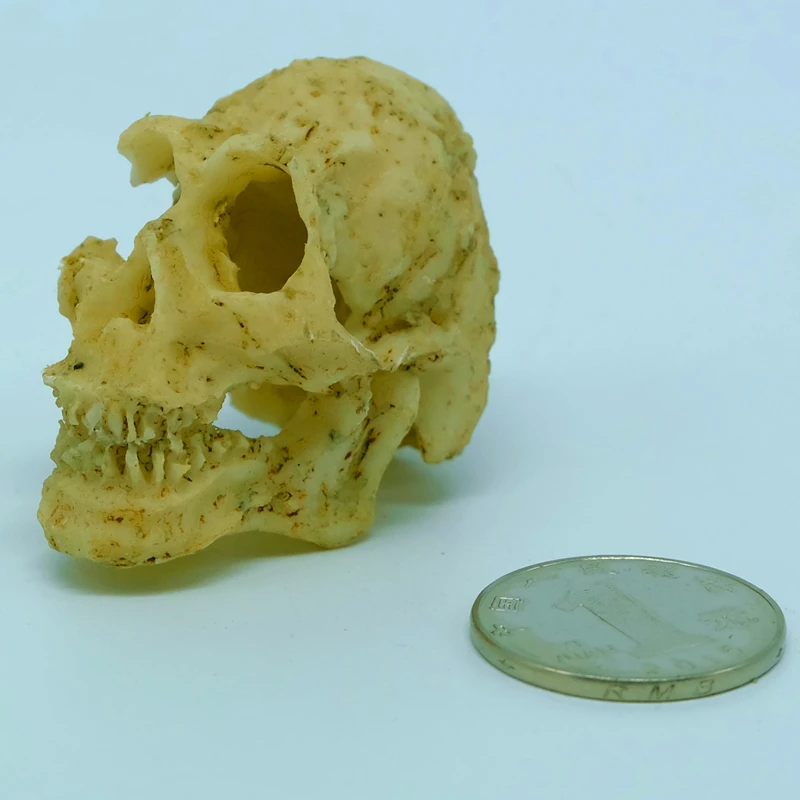 Аквариумная искусственная смола гусеничный Дракон-Террариум для ящерицы пещера