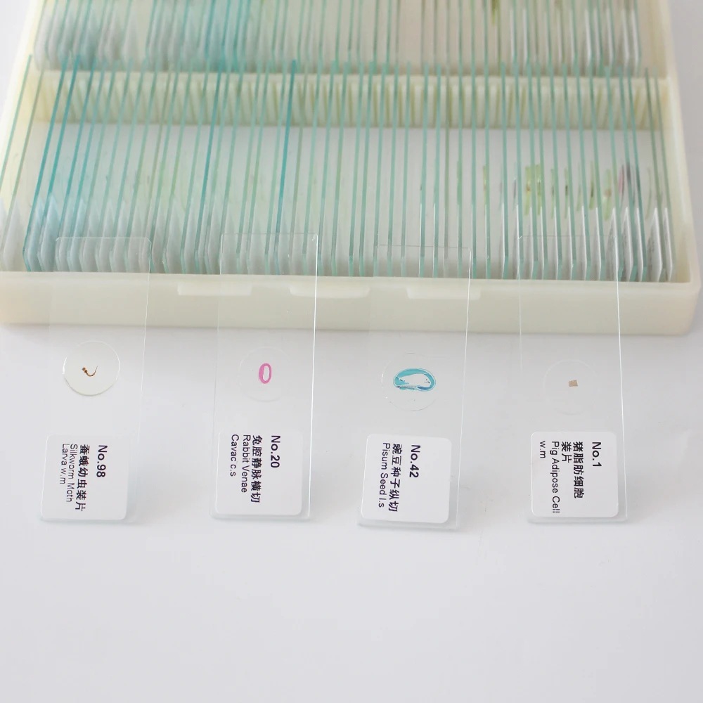 Биология 50 шт. специальные Биологические базовые научные образцы школьная и