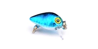 10pcs mix color fishing bass fish floating minnow crankbaits lure hook baits 2 6cm1 6g free shipping