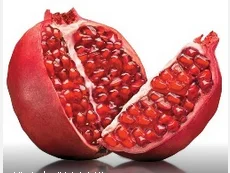 

50ml Pomegranate Hydrosol Essential Oils Hydrolat