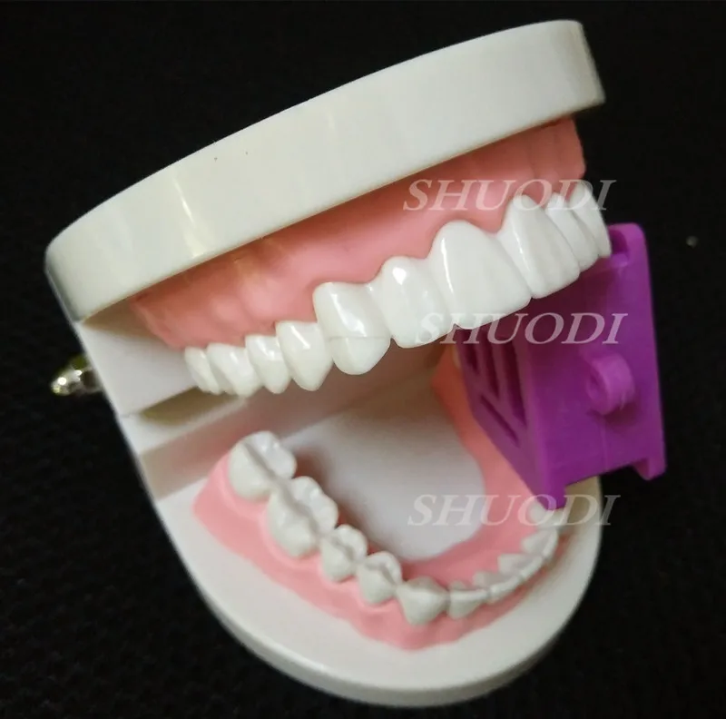 3 шт. стоматологические изделия Автоклавируемые продукты оттискной лоток опора