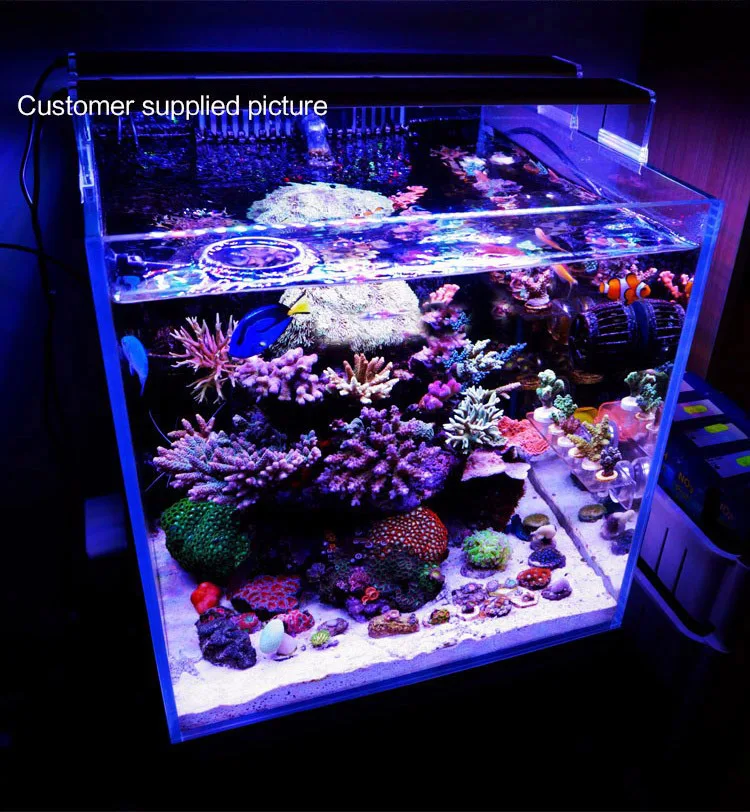 Chihiros морской Светодиодный светильник Коралл SPS LPS аквариум морской риф танк Белый Синий Chihiros
