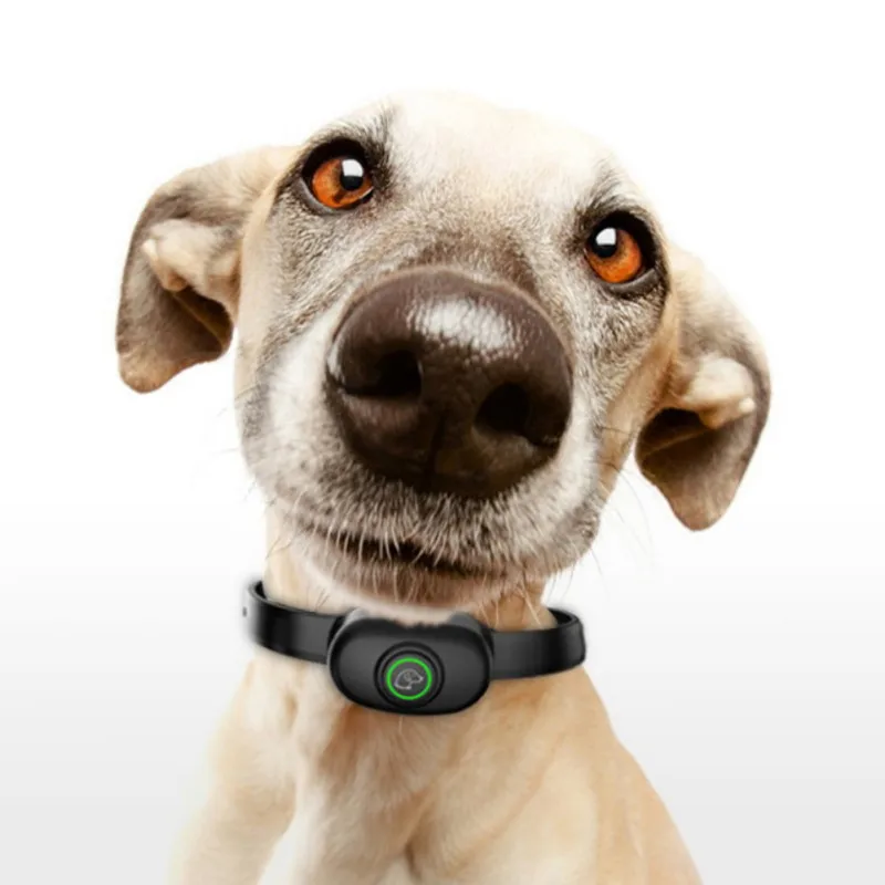 

Pet Waterproof USB Charging Shock Collar Automatic Dog Training Device Remote Anti Bark Rechargeable 400 M Electronic Vibration