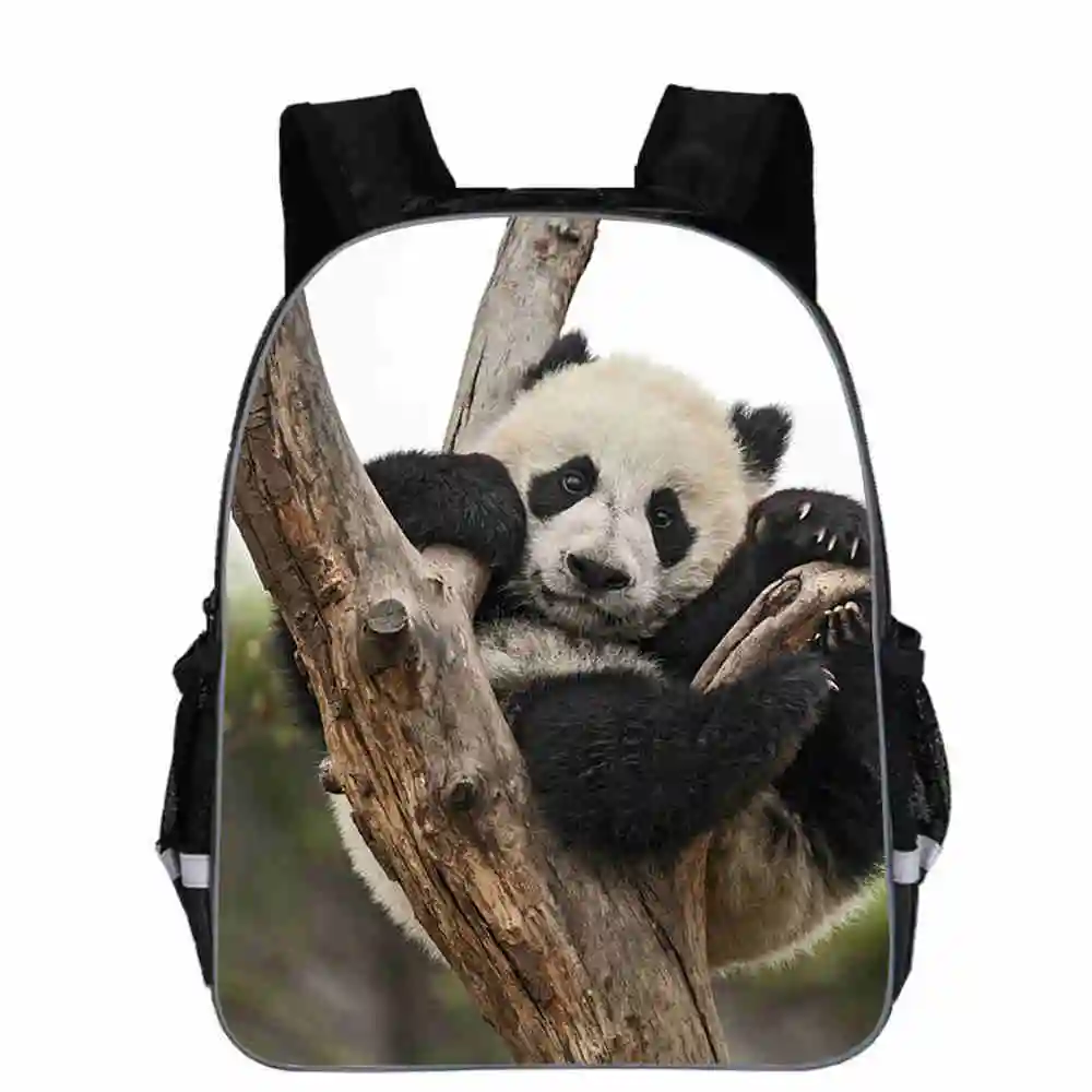 Mochila escolar de Panda para adolescentes, niños, niñas y niños pequeños, bolsas...