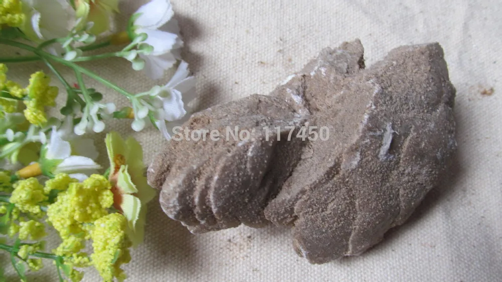 Лучший довольно природный селенит гипс роза пустыни бесплатная SHIPPING50g 55g|gypsum