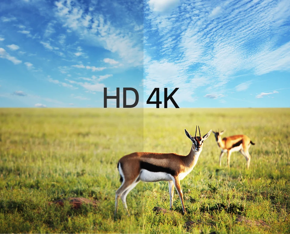Leadcool S2 Media Player RK3229 4 ядра Android 8,1 ТВ BOX Smart ТВ с 1 ГБ/2 GB Оперативная память 8 GB/16 GB Встроенная память Поддержка 2,4G Wi-Fi 100 M LAN