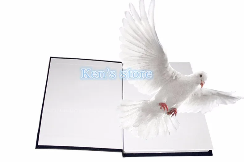Metamopho Dove/цветок из книги Крупным планом сценические фокусы для профессионального волшебника магические игрушки для детей лучший подарок