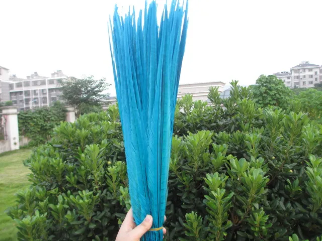 sky blue 50/партия Красивых Перьев Фазана 55-60 см различные цвета на выбор танцевальное торжество DIY Украшение - Цвет: sky blue