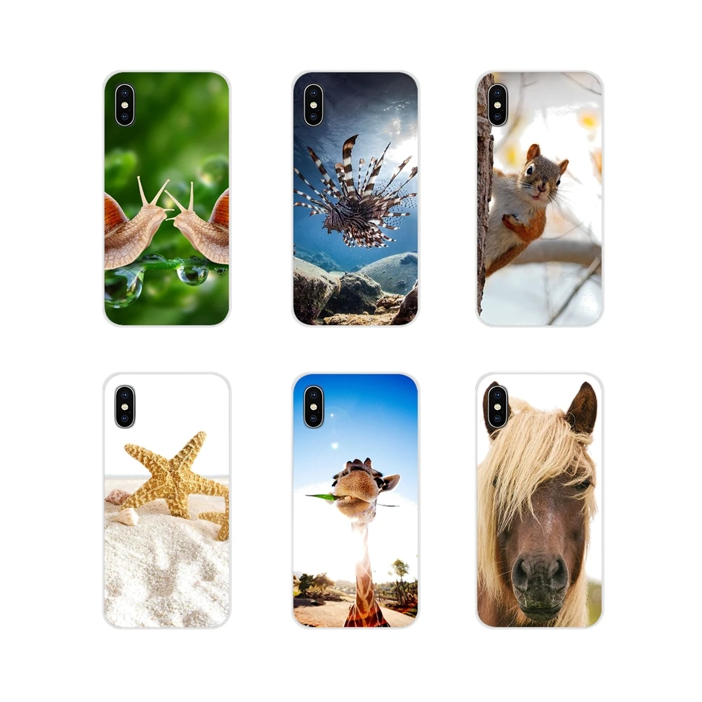 Аксессуары чехлы для телефонов Samsung Galaxy A3 A5 A7 A9 A8 Star A6 Plus 2018 2015 2016 2017 милые забавные