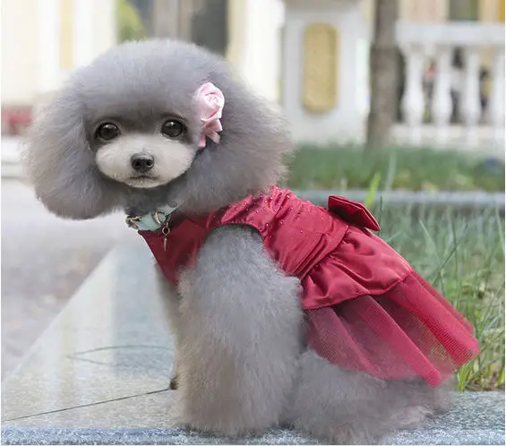 FD105 Бесплатная доставка кружевная юбка для свадебной вечеринки с изображением