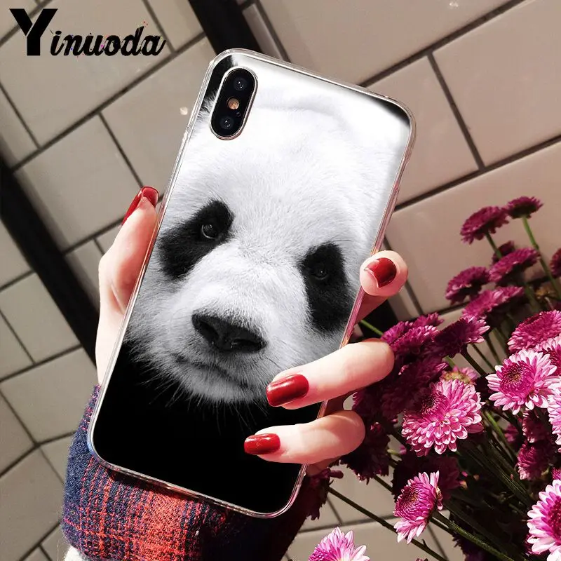 11pro MAX Милый Панда Новинка чехол для телефона Fundas Apple iPhone 8 7 6 6S Plus X XS 5 5S SE XR Чехлы